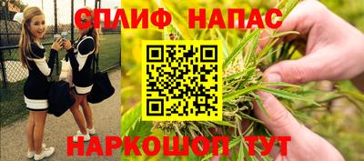 гидропоника Дубна