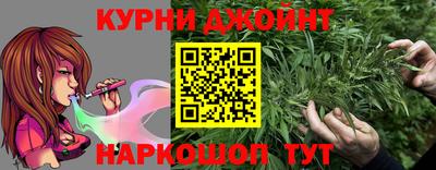 гидропоника Дубна